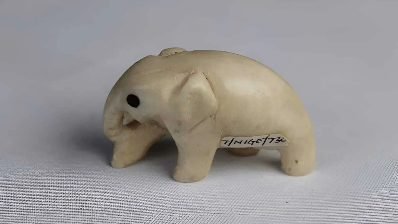 Bristol muzeyidan 600 dan ortiq eksponat o'g'irlandi