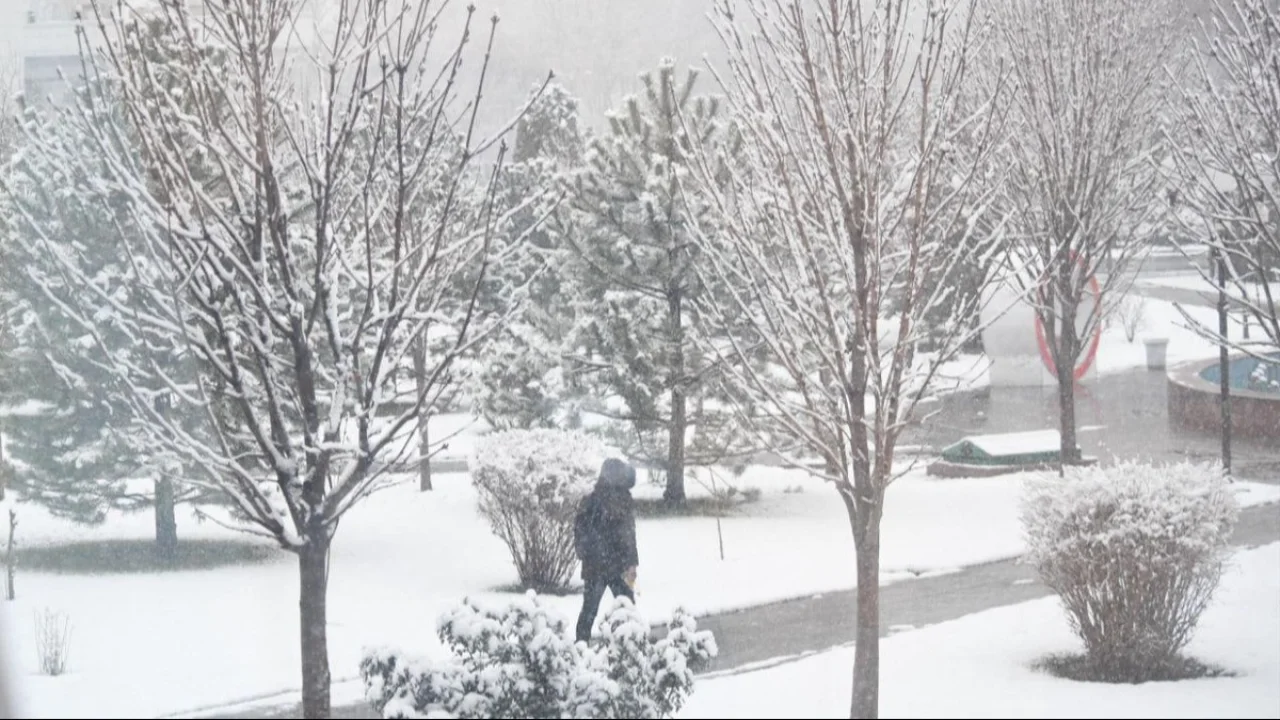 O‘zgidromet shoshilinch ogohlantirish bilan chiqdi