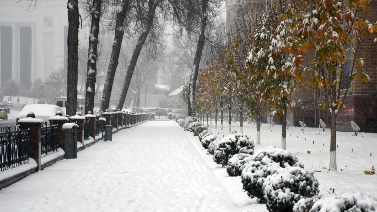 Hafta boshida qor yog‘ishi kutilmoqda