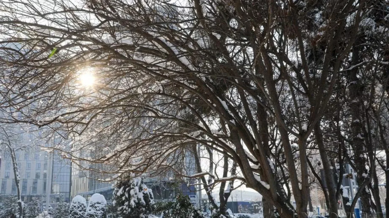 Bugun bir qator hududlarda yomg‘ir va qor kuzatiladi