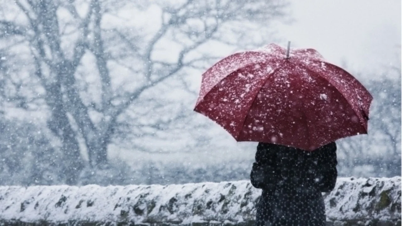 16 dekabrda ayrim hududlarda yomg‘ir va qor aralash ob-havo kutilmoqda