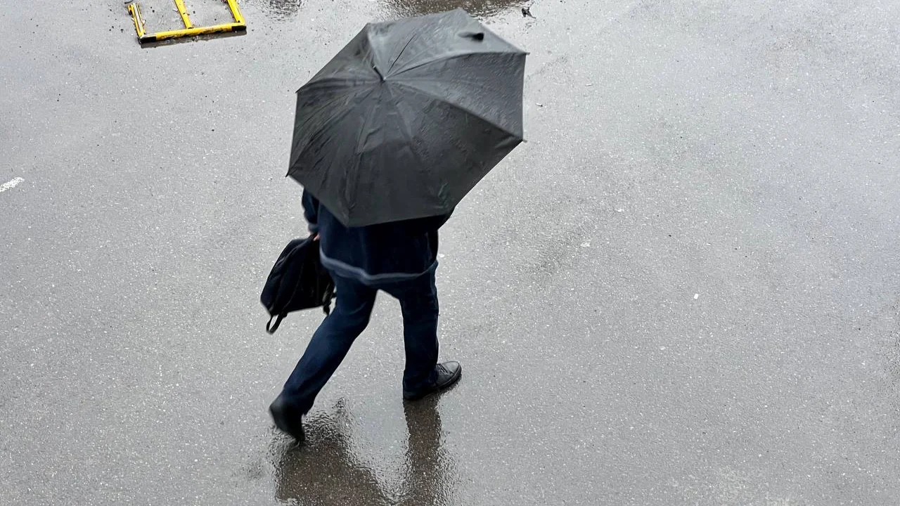 17 dekabrda qayerlarda yomg‘ir yog‘adi?