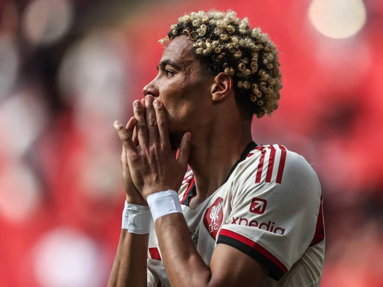 Troy Dini Ugo Ekitikeni Holandga raqib bo'ladi dedi