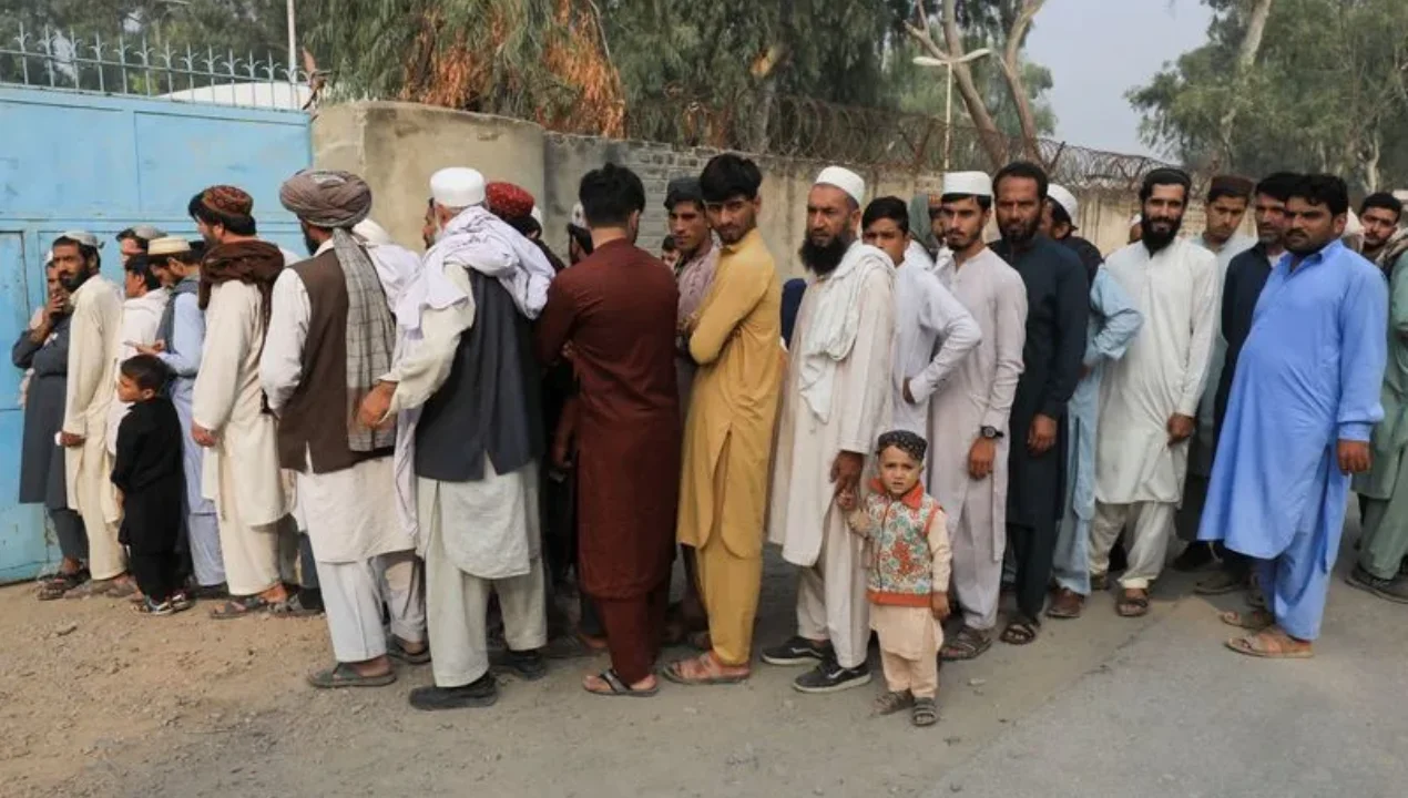 Germaniya afg‘onistonlik faollarni qabul qilishga tayyor: najot kutayotgan 535 taqdir