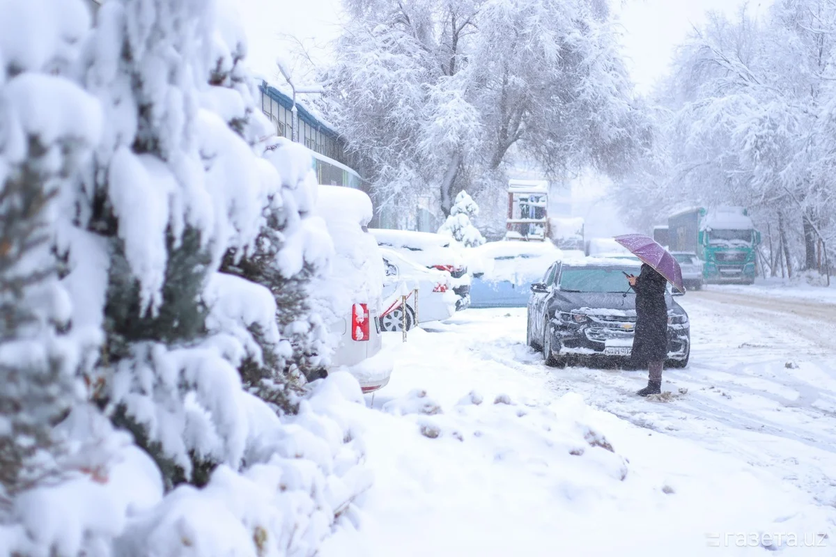 Yakshanba kuni yomg‘ir, qor va muzlama kutilmoqda
