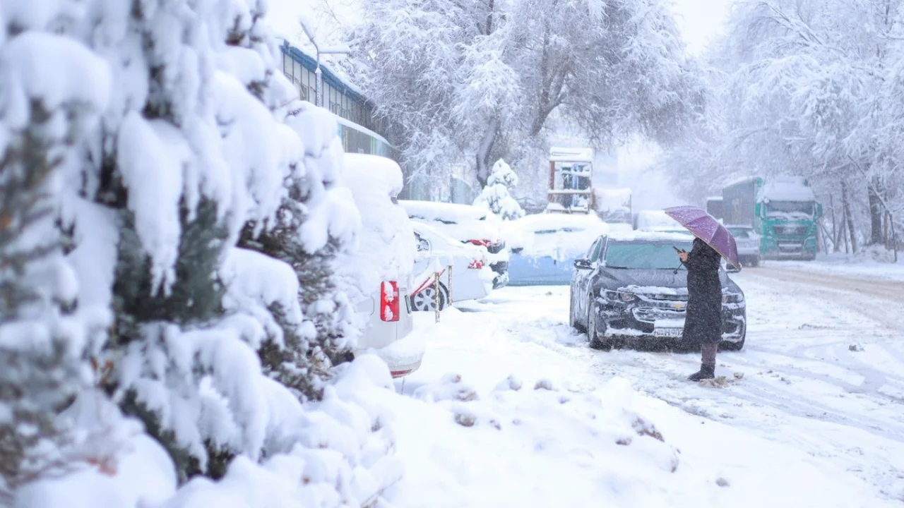 Ertaga ayrim hududlarda qor va yaxmalak kutilmoqda