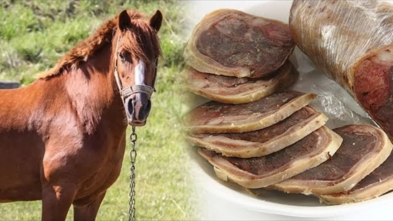 Qozog‘iston Yaponiyaga ot go‘shtini eksport qiladi