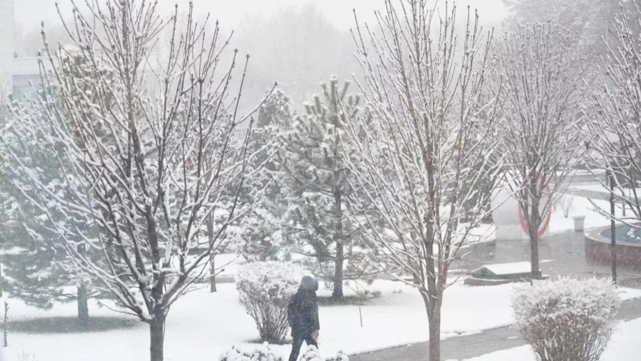 Ertaga qayerlarda qor yog‘ishi ma’lum qilindi