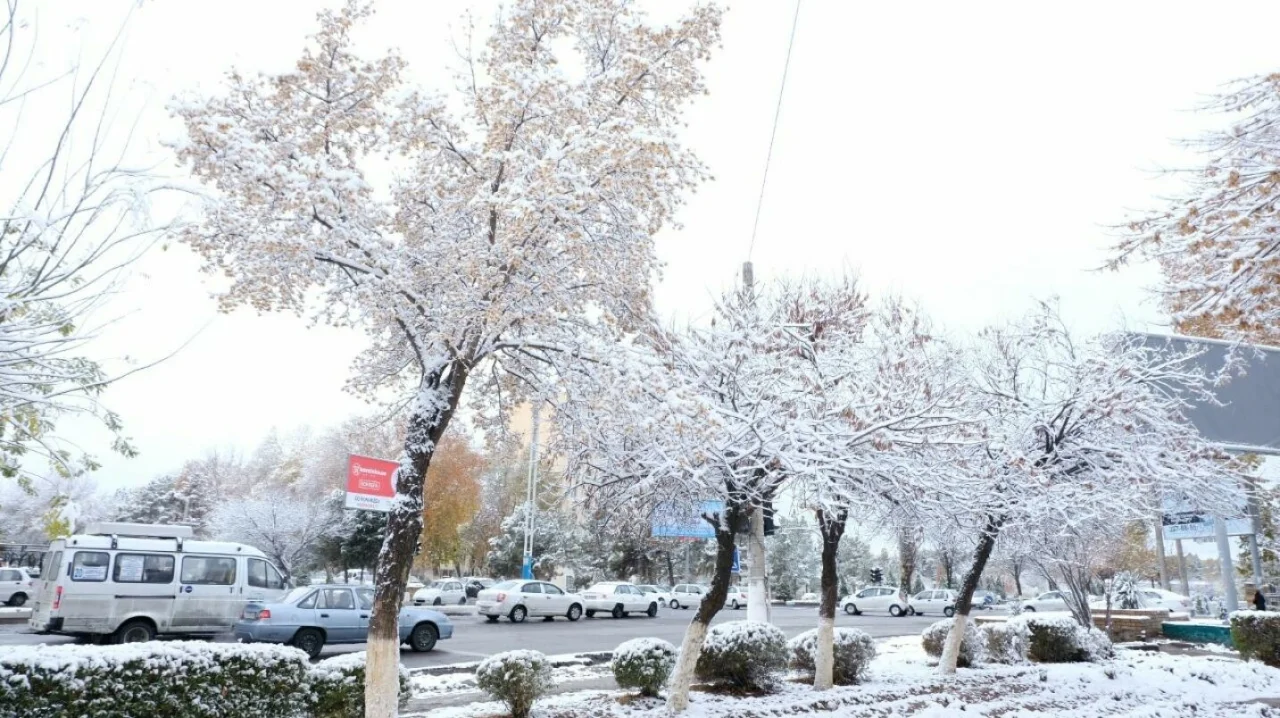 23-dekabr: O‘zbekistonda salqin, ayrim joylarda qorli ob-havo...