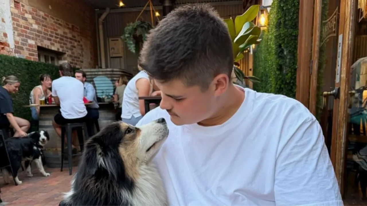 Bondi dahshati: boshiga o‘q teggan politsiyachi uyga qaytdi